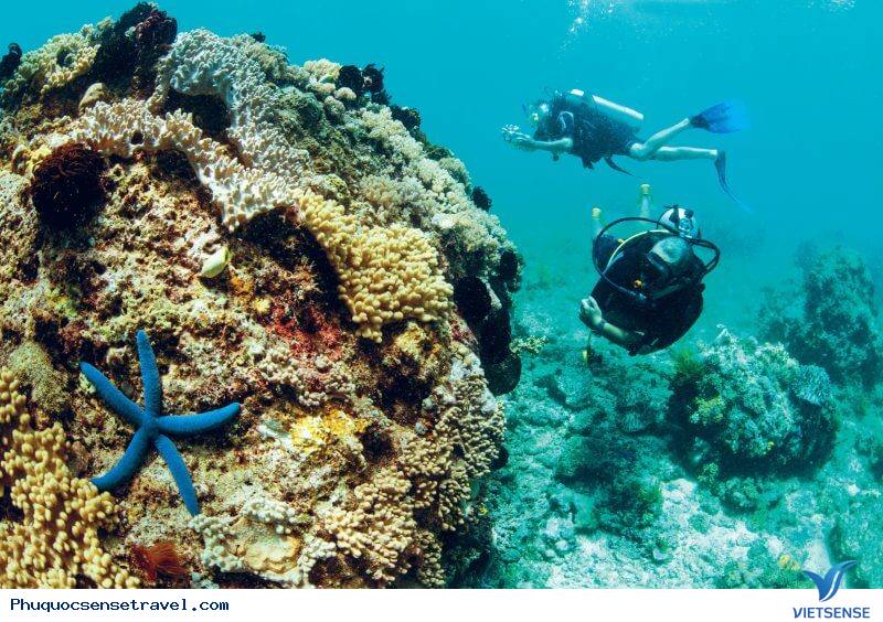 Hàng Loạt Những Trải Nghiệm Tuyệt Vời Khi Bạn Tới Phú Quốc - Ảnh 1