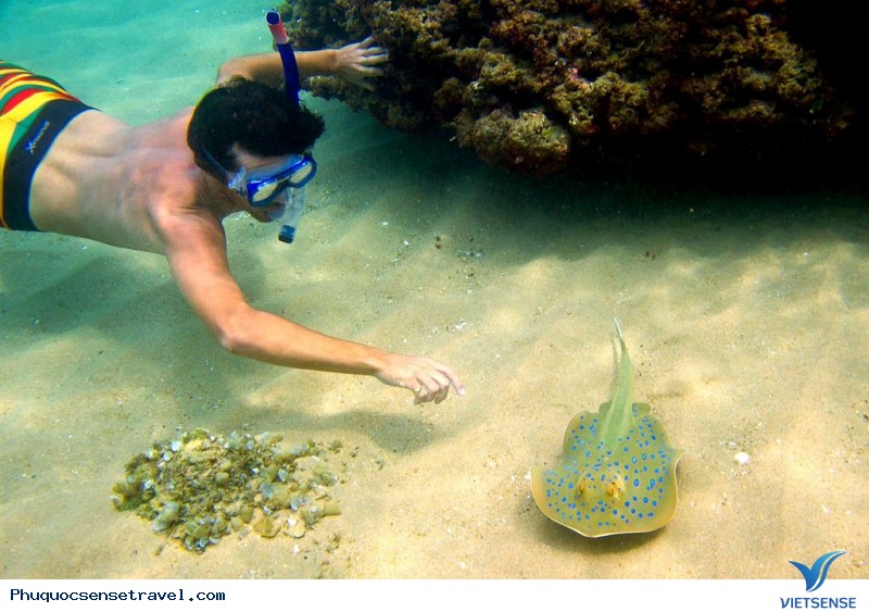 Hòn Mây Rút- Điểm Đến Chắc Chắn Không Thể Bỏ Lỡ Khi Đã Tới Phú Quốc. - Ảnh 3 Hòn Mây Rút- Điểm Đến Chắc Chắn Không Thể Bỏ Lỡ Khi Đã Tới Phú Quốc. - Ảnh 3