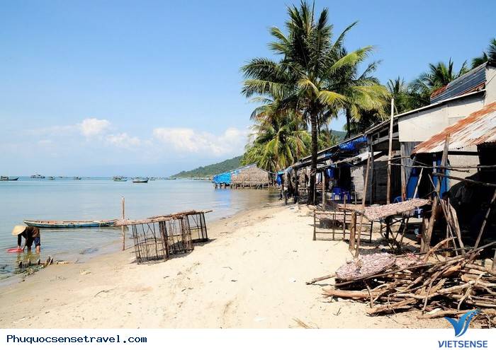 Khám Phá Nét Hoang Sơ Nơi Làng Chài Rạch Tràm - Ảnh 4 Khám Phá Nét Hoang Sơ Nơi Làng Chài Rạch Tràm - Ảnh 4