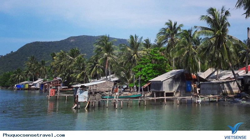 Khám Phá Nét Hoang Sơ Nơi Làng Chài Rạch Tràm - Ảnh 1 Khám Phá Nét Hoang Sơ Nơi Làng Chài Rạch Tràm - Ảnh 1