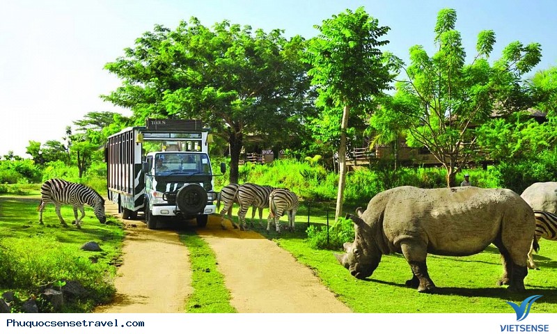 Một Ngày Sống Vội Nơi Đảo Ngọc Phú Quốc - Ảnh 2