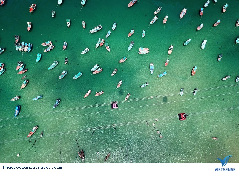 Những Trải Nghiệm Tuyệt Vời Tại Nam Đảo Phú Quốc - Ảnh 2