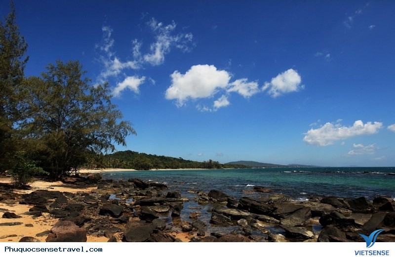 Mũi Gành Dầu Mũi Gành Dầu