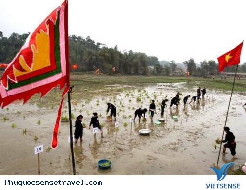 Lễ hội Lồng Tồng, Tuyên Quang Lễ hội Lồng Tồng, Tuyên Quang