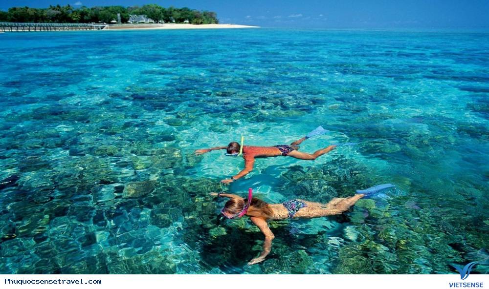 Ăn gì và chơi gì khi đi thăm quan Phú Quốc - Ảnh 3