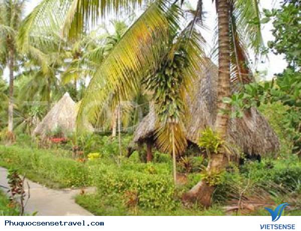 Ăn gì và chơi gì khi đi thăm quan Phú Quốc - Ảnh 7