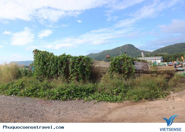 Mũi Đá Chồng - Ảnh 1