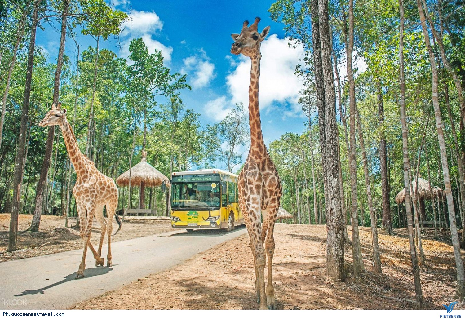 Bạn nên đến thăm trong bao lâu Bạn nên đến thăm trong bao lâu