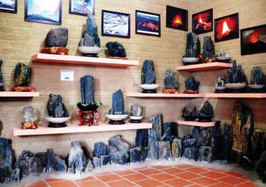 Sưu tập hiện vật Sưu tập hiện vật