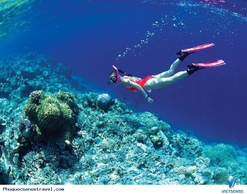 Cẩm nang hành trình Phú Quốc từ a đến z - Ảnh 10