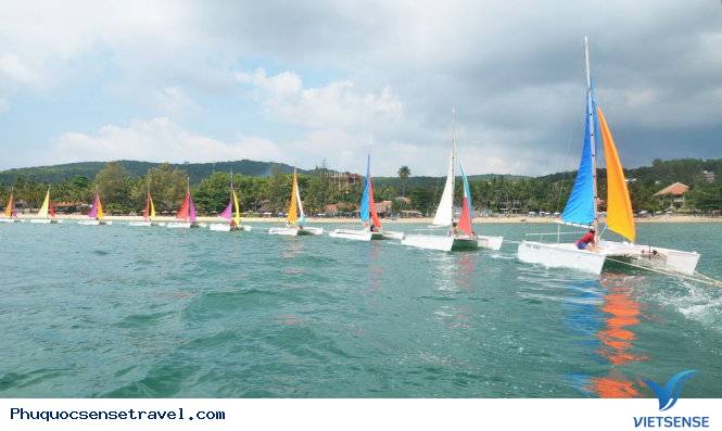 Câu cá lặn biển ngắm san hô 3 Ngày tại Phú Quốc - Ảnh 4