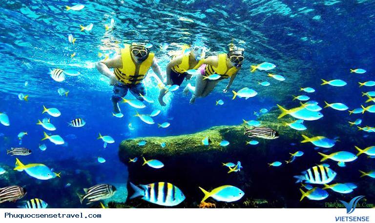 Ngày 2: Phú Quốc-  câu cá - lặn ngắm san hô (Ăn sáng, trưa, chiều)