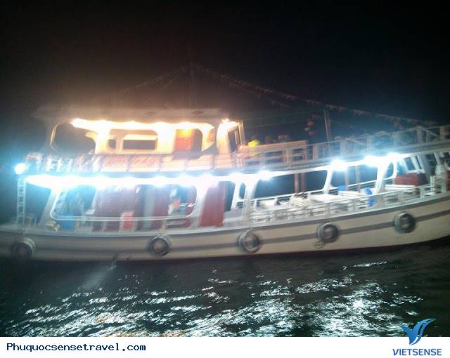 Câu Mực Đêm Trên Đảo Phú Quốc - Ảnh 1