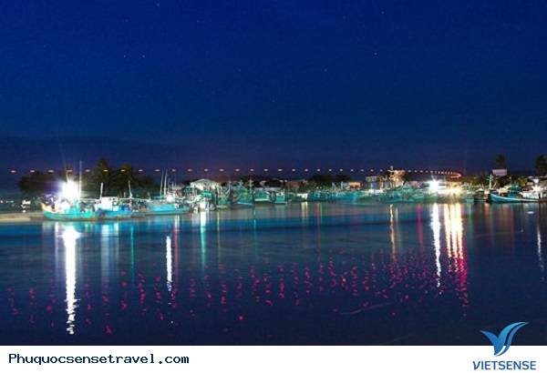 Câu Mực Đêm Trên Đảo Phú Quốc - Ảnh 3