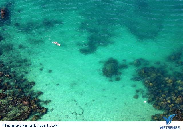 Với tay “kết ngọc” - Ảnh 2