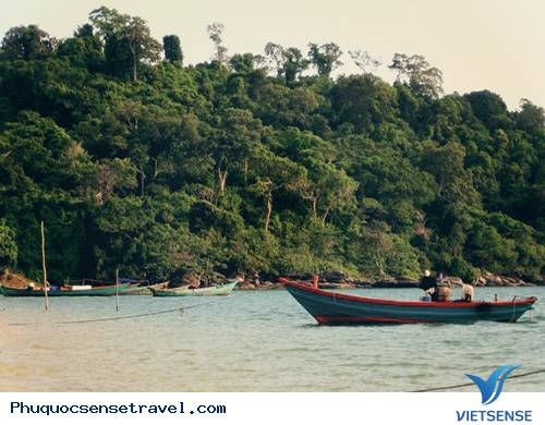 Chia Sẻ 15 điểm thăm quan Thiên Đường Ở Phú Quốc - Ảnh 6 Chia Sẻ 15 điểm thăm quan Thiên Đường Ở Phú Quốc - Ảnh 6