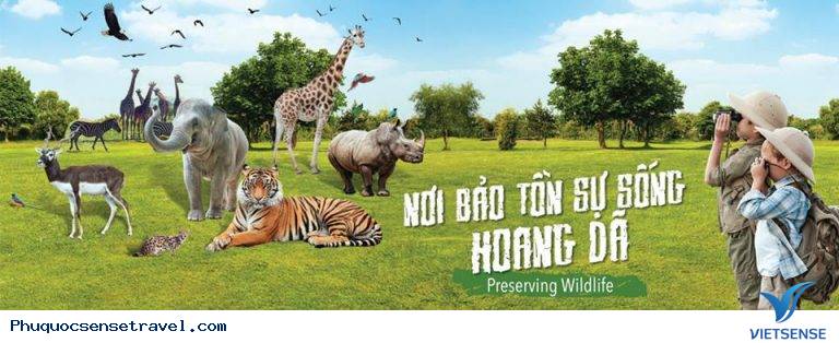 Chia Sẻ 15 điểm thăm quan Thiên Đường Ở Phú Quốc - Ảnh 2 Chia Sẻ 15 điểm thăm quan Thiên Đường Ở Phú Quốc - Ảnh 2