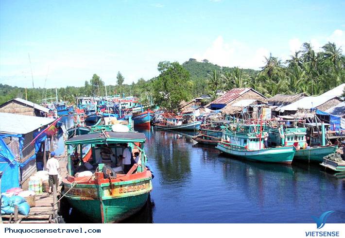 Chia Sẻ 15 điểm thăm quan Thiên Đường Ở Phú Quốc - Ảnh 3 Chia Sẻ 15 điểm thăm quan Thiên Đường Ở Phú Quốc - Ảnh 3