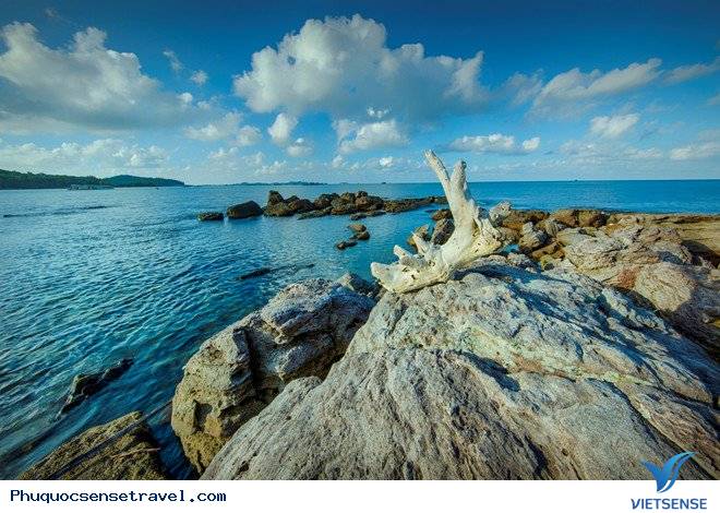 Chia Sẻ 15 điểm thăm quan Thiên Đường Ở Phú Quốc - Ảnh 14 Chia Sẻ 15 điểm thăm quan Thiên Đường Ở Phú Quốc - Ảnh 14