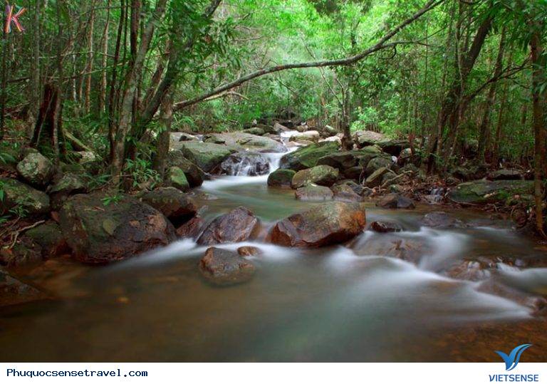 Chia Sẻ 15 điểm thăm quan Thiên Đường Ở Phú Quốc - Ảnh 11 Chia Sẻ 15 điểm thăm quan Thiên Đường Ở Phú Quốc - Ảnh 11