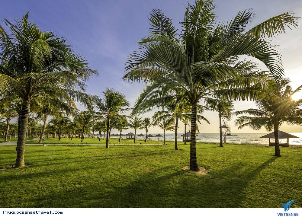 Combo vé máy bay & khách sạn cao cấp 4 sao Phú Quốc - Ảnh 8