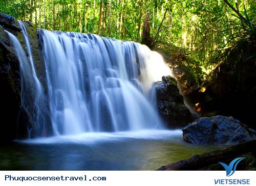 suối tranh suối tranh