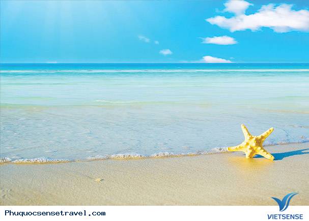 bãi sao phú quốc bãi sao phú quốc