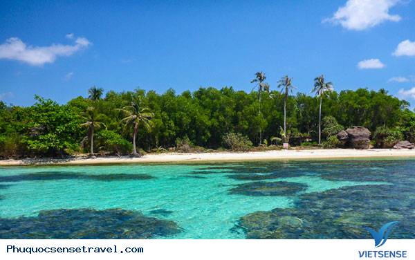 Đảo ngọc Phú Quốc chào đón 2,7 triệu khách thăm quan - Ảnh 3