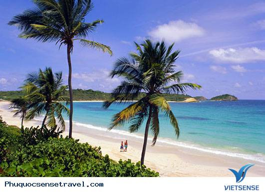 Đảo Phú Quốc Đăng Cai Đại Hội Biển Đông Á 2015 - Ảnh 1