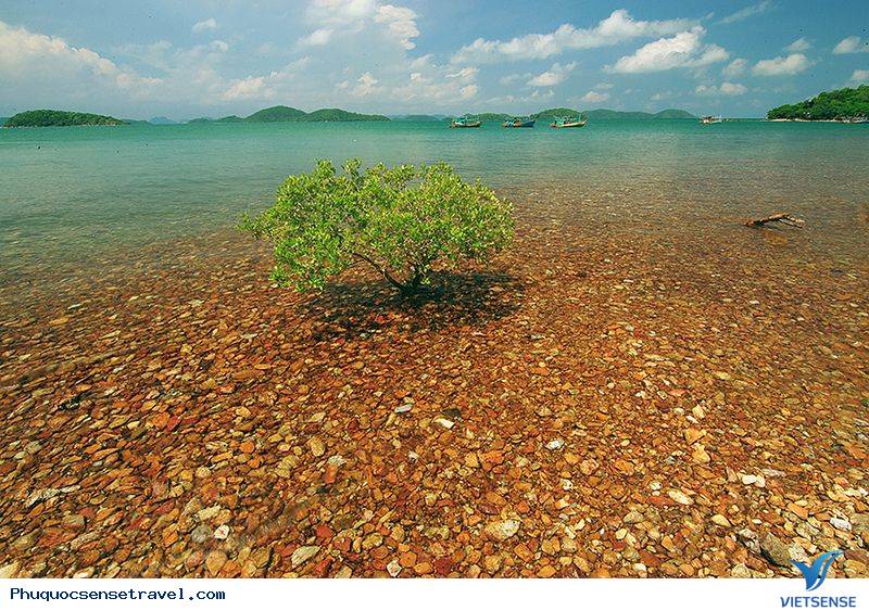 Đảo Phú Quốc ở đâu - Ảnh 4 Đảo Phú Quốc ở đâu - Ảnh 4