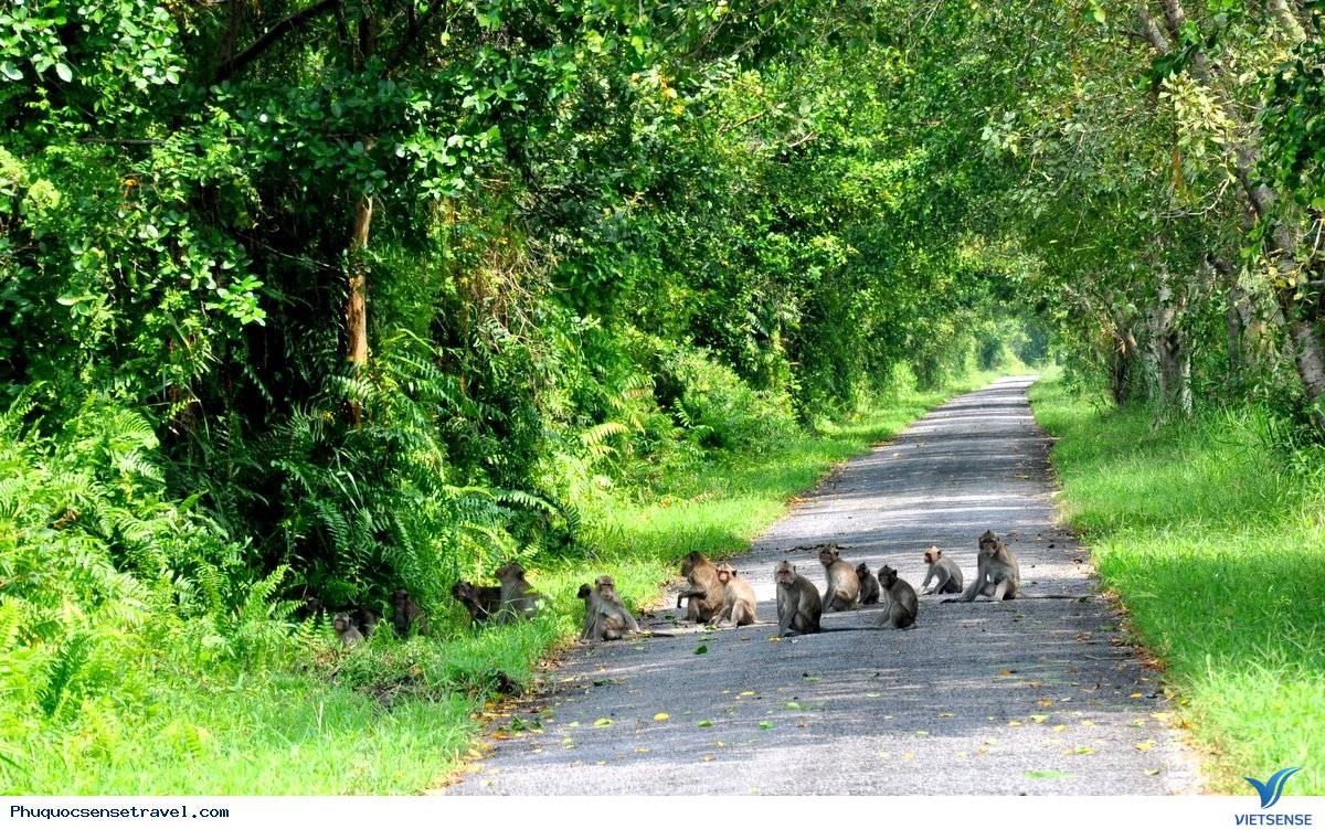 Đảo Phú Quốc ở đâu - Ảnh 7 Đảo Phú Quốc ở đâu - Ảnh 7