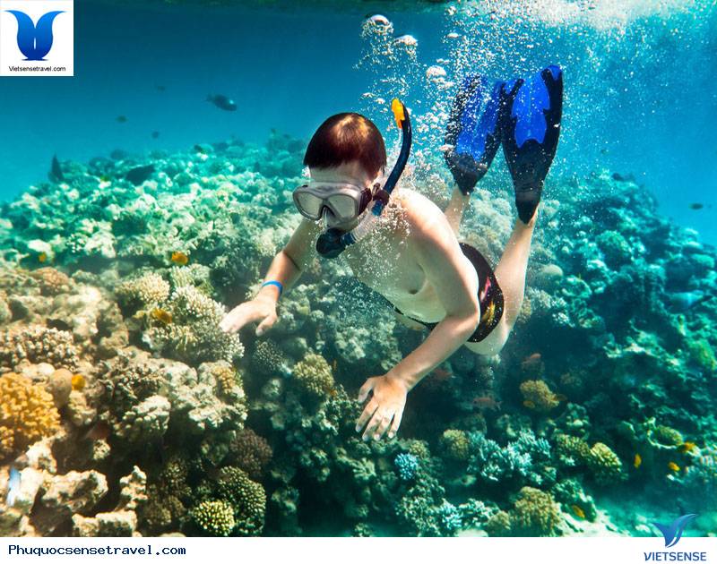 Đến Với Thiên Đường Biển Đảo Phú Quốc - Ảnh 2