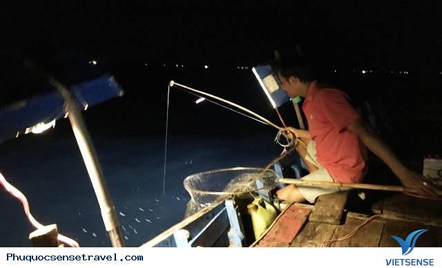 Thứ ba: Câu mực đêm