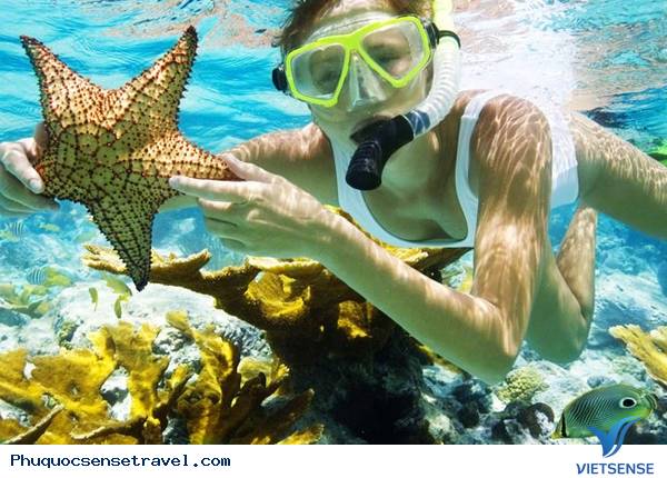 Thứ nhất: Lặn ngắm san hô