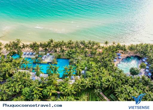 Diễn biến dịch bệnh năm 2021 tại Phú Quốc. Phú Quốc có an toàn hay không? Diễn biến dịch bệnh năm 2021 tại Phú Quốc. Phú Quốc có an toàn hay không?