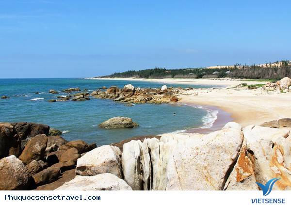 hành trình Bình Thuận Đau Đầu Với Bài Toán Nhân Lực - Ảnh 2