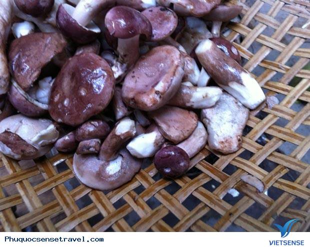 Vi vu Phú Quốc 2 ngày hết hơn 1 triệu - Ảnh 7