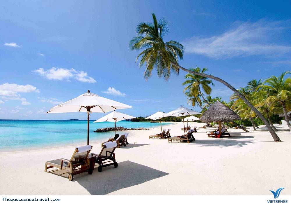 Vi vu Phú Quốc 2 ngày hết hơn 1 triệu - Ảnh 1