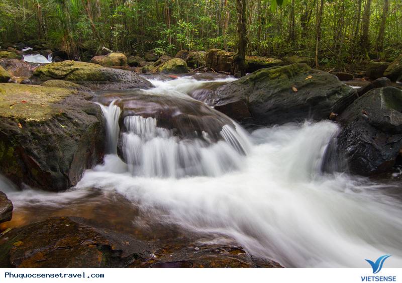Vi vu Phú Quốc 2 ngày hết hơn 1 triệu - Ảnh 2