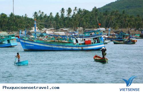 hành trình Phú Quốc Bình Yên Và Hoàng Sơ - Ảnh 1 hành trình Phú Quốc Bình Yên Và Hoàng Sơ - Ảnh 1