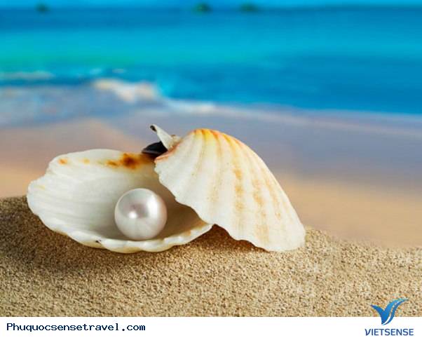 hành trình Phú Quốc câu cá lặn biển ngắm san hô - Ảnh 2 hành trình Phú Quốc câu cá lặn biển ngắm san hô - Ảnh 2