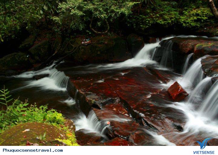 hành trình Phú Quốc dịp lễ 2-9 hãy đi xa thêm chút nữa - Ảnh 6 chương trình
 Phú Quốc dịp lễ 2-9 hãy đi xa thêm chút nữa - Ảnh 6