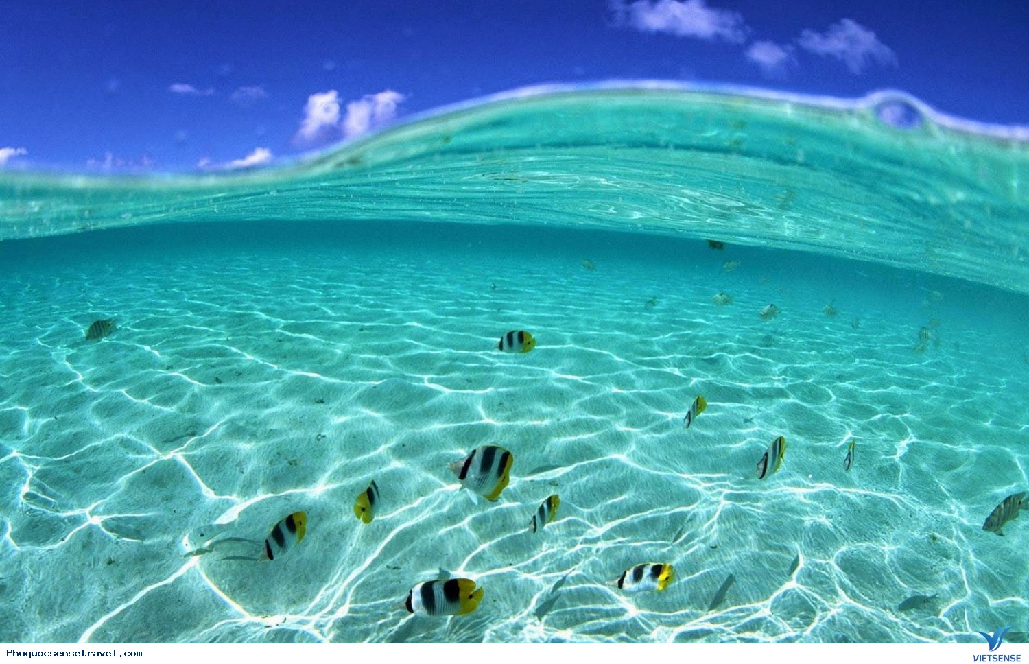 Phú Quốc hút khách trong dịp hè - Ảnh 3 Phú Quốc hút khách trong dịp hè - Ảnh 3