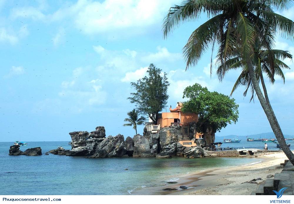 Đi chơi Phú Quốc nên đi mấy ngày lịch trình như thế nào - Ảnh 5