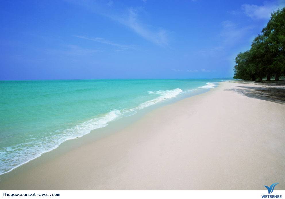 chương trình
 phú quốc