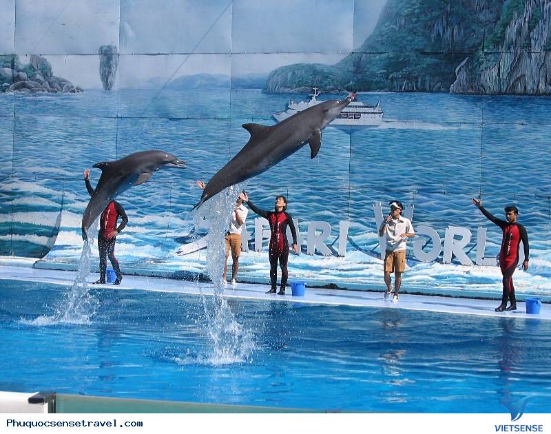 Ngày 2: Phú Quốc - Vinpearland – Safarl (Ăn sáng, trưa) (ăn tối tự túc) - Ảnh 3 Ngày 2: Phú Quốc - Vinpearland – Safarl (Ăn sáng, trưa) (ăn tối tự túc) - Ảnh 3