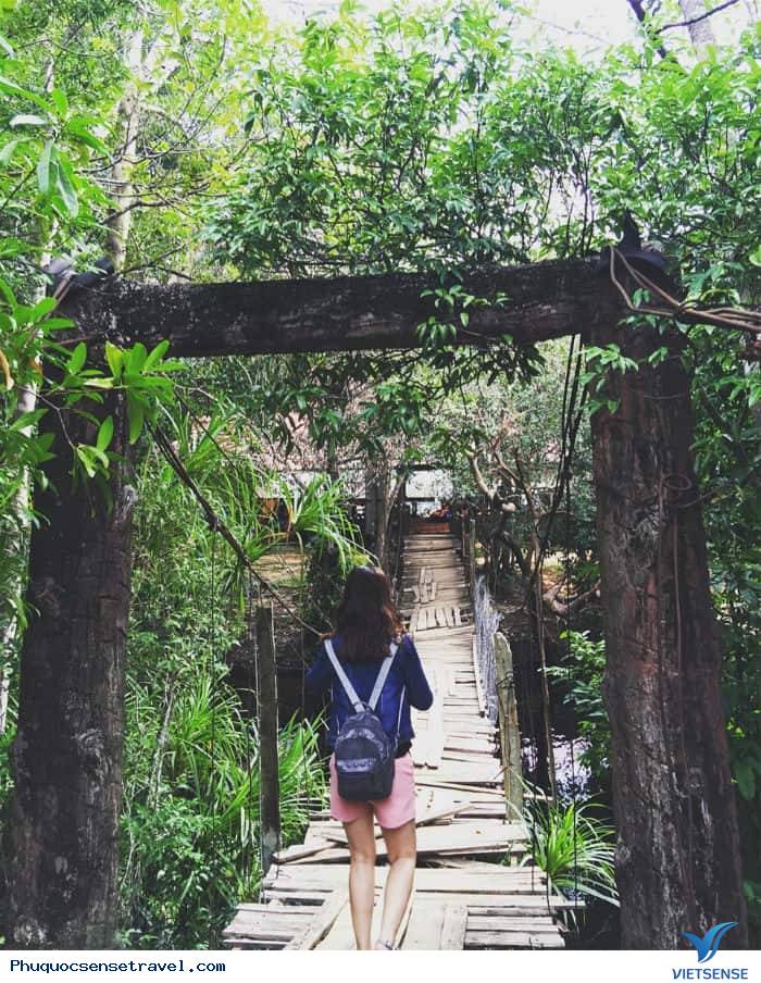 Đường đi tới suối Đường đi tới suối