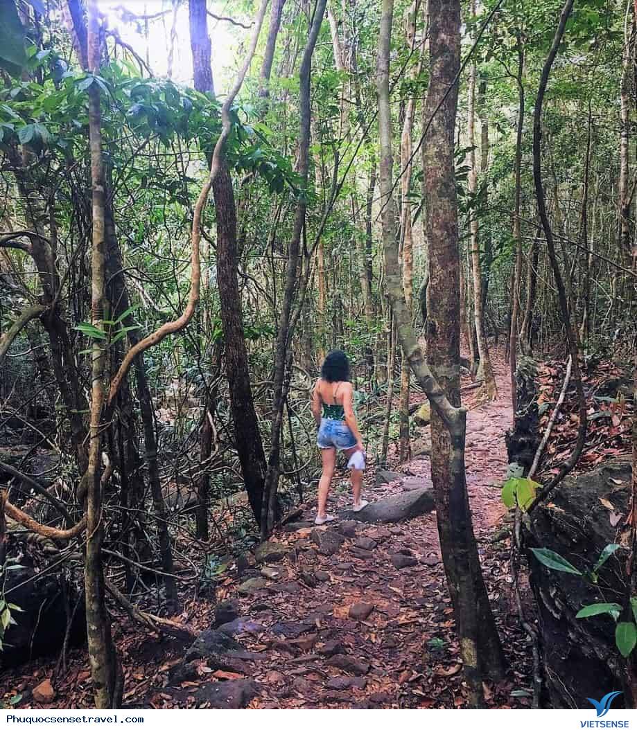 Đường mòn leo núi