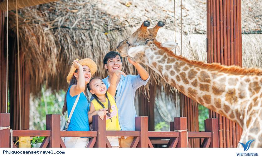 Gặp gỡ và tương tác với những loài động vật dễ thương Gặp gỡ và tương tác với những loài động vật dễ thương