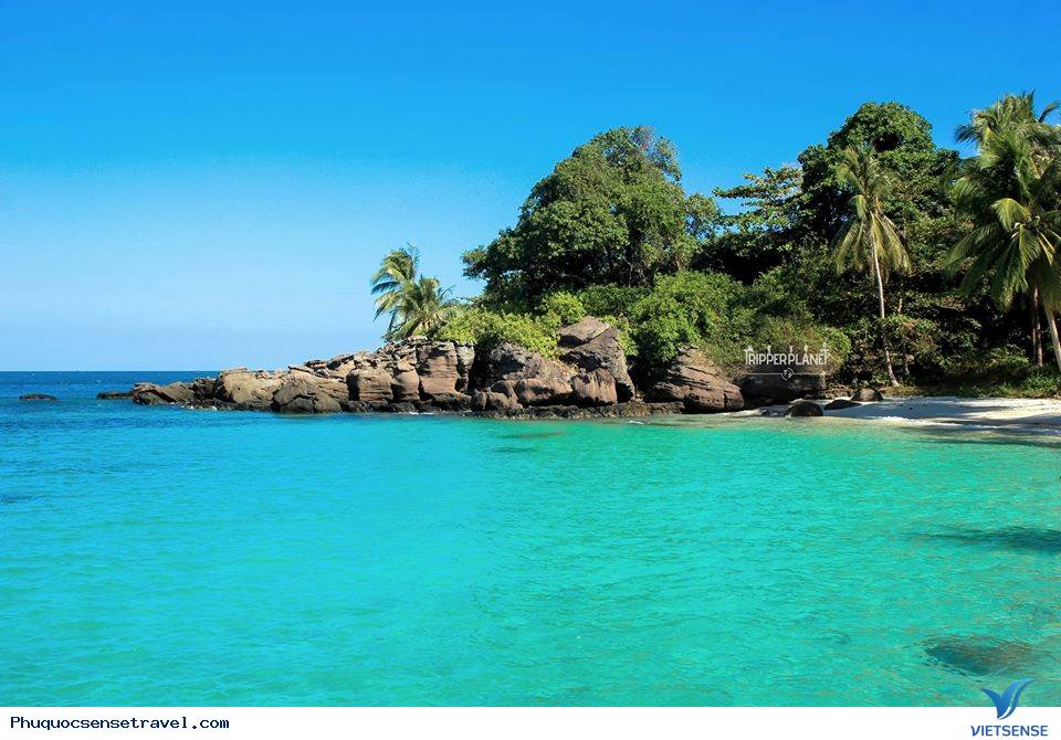 Giới thiệu Bãi biển Vũng Bầu - Ảnh 1